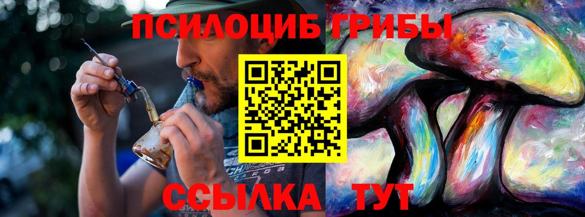 Псилоцибиновые грибы мицелий Белогорск